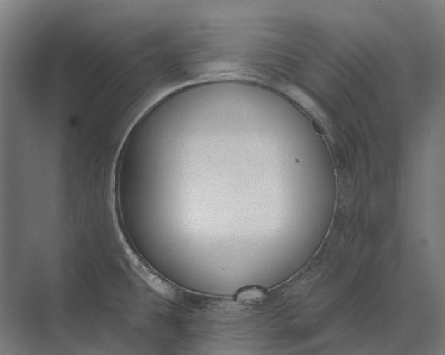 X0000073871431200608241123