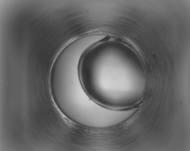 X0000073871434200608241123