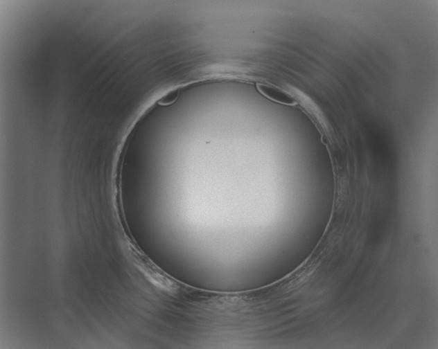 X0000073871435200608241123