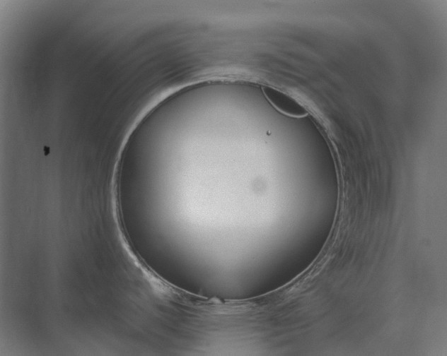 X0000073871440200608241123