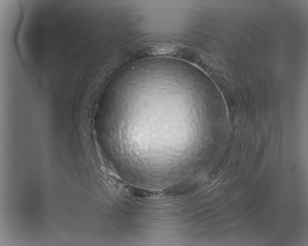 X0000073871441200608241122