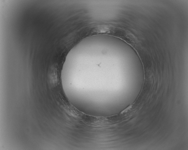 X0000073871442200608241122