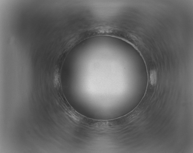 X0000073871444200608241122