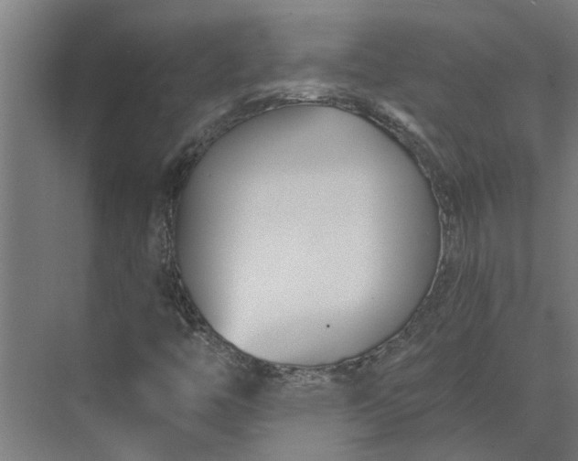 X0000073871446200608241122