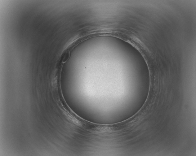 X0000073871450200608241122