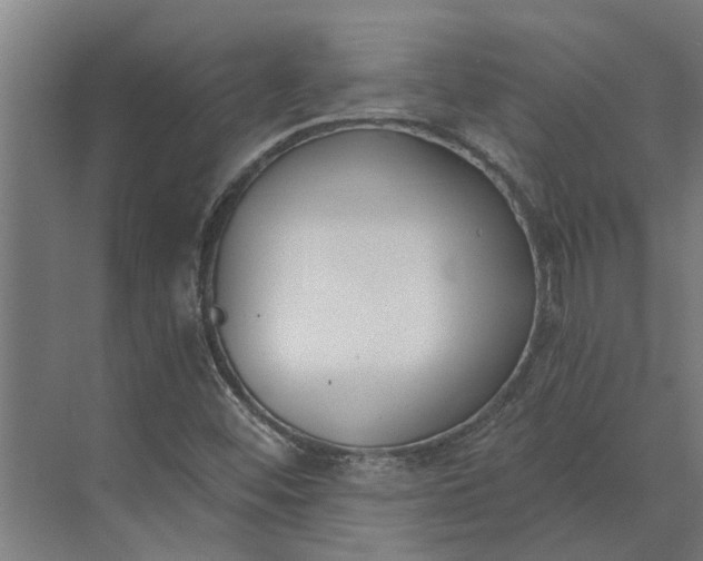 X0000073871452200608241122