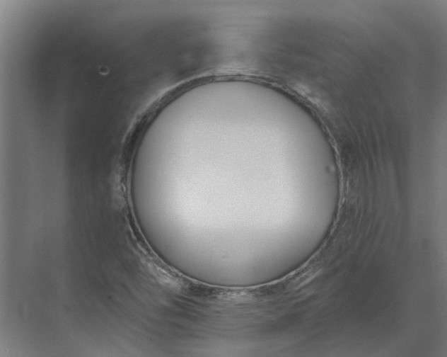 X0000073871454200608241122