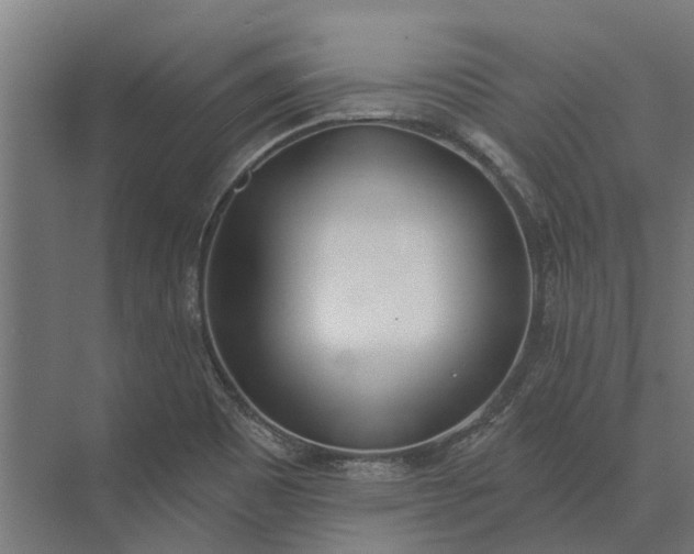 X0000073871465200608241122