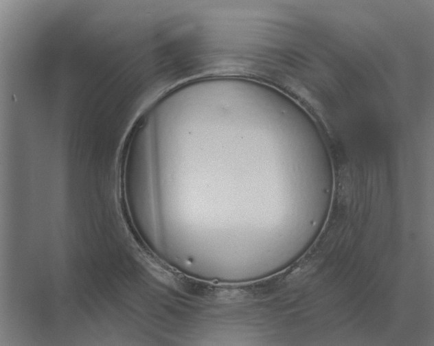 X0000073871467200608241122