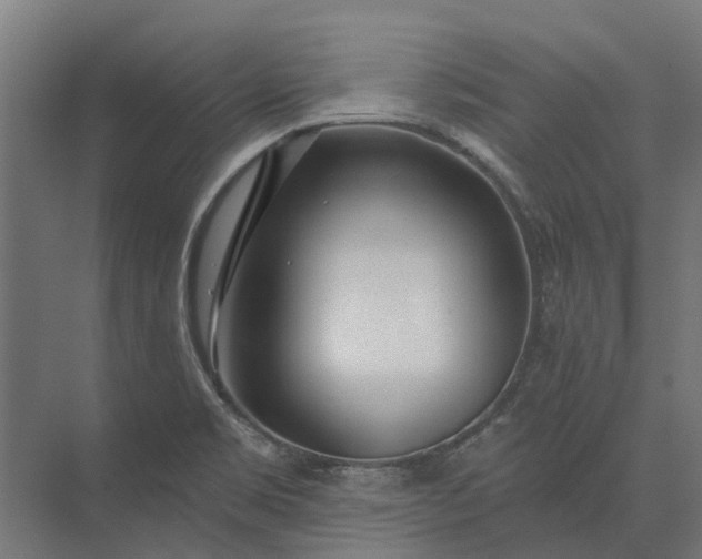 X0000073871469200608241122