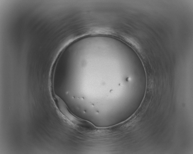 X0000073871471200608241122