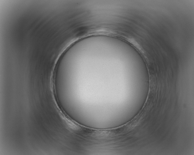 X0000073871474200608241122