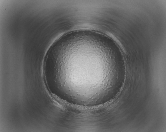 X0000073871477200608241122