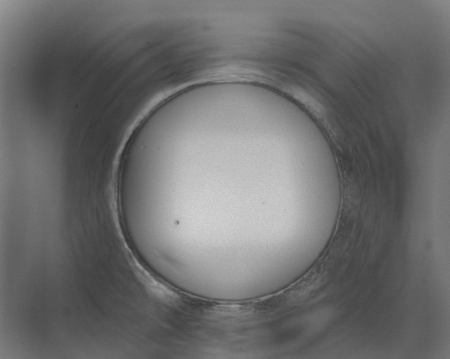 X0000073871478200608241122