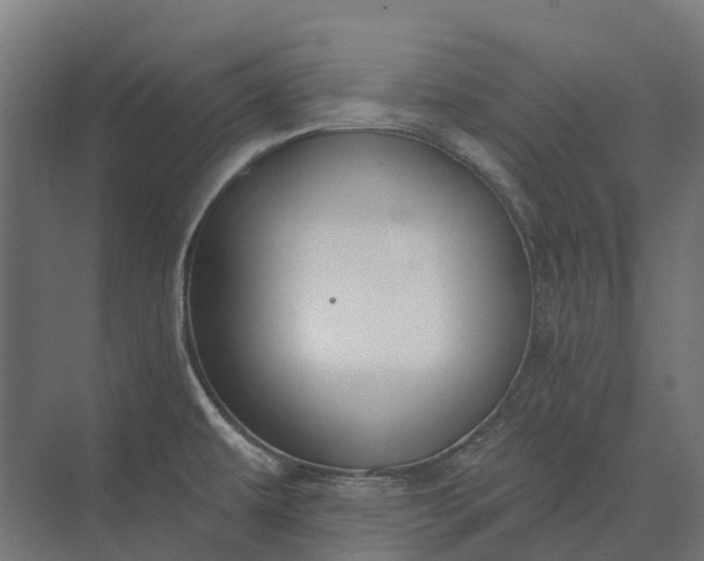 X0000073871479200608241122