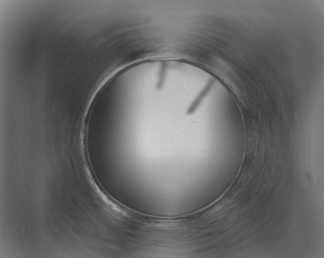 X0000073871484200608241121