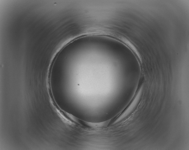 X0000073871485200608241121