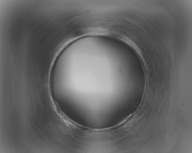 X0000073871488200608241121