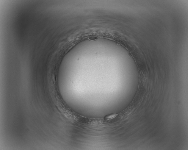 X0000073871489200608241121