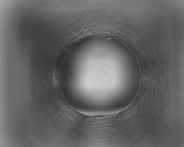 X0000073871490200608241121