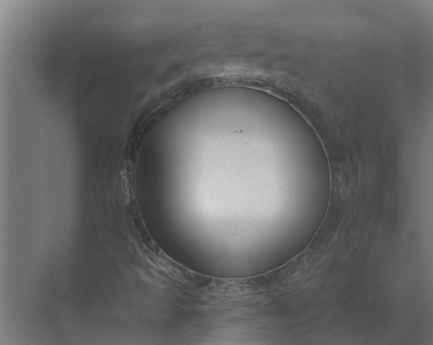 X0000073871493200608241121