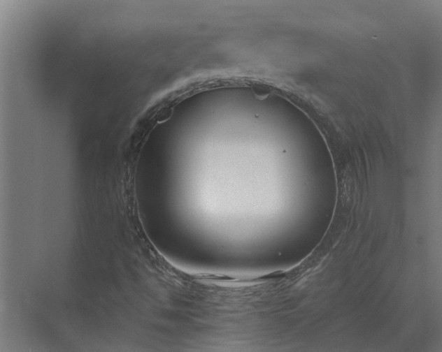 X0000073871494200608241121