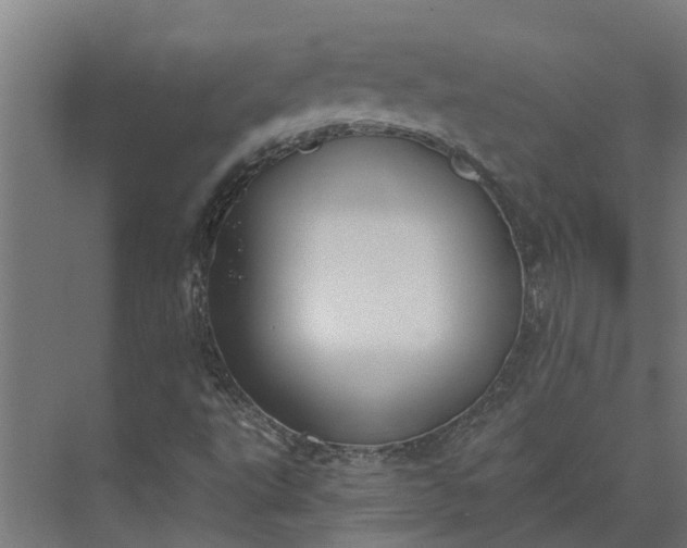 X0000073871495200608241121