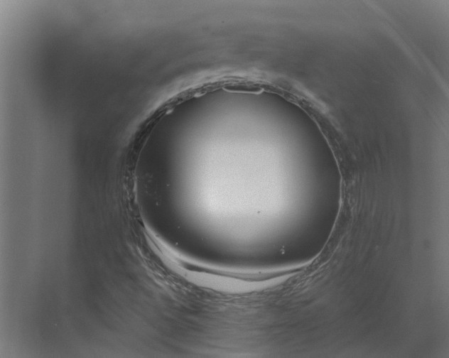 X0000073871496200608241121