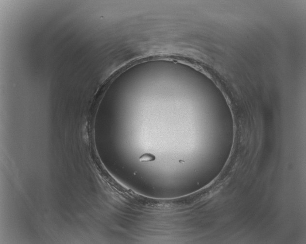 X0000073871497200608241121