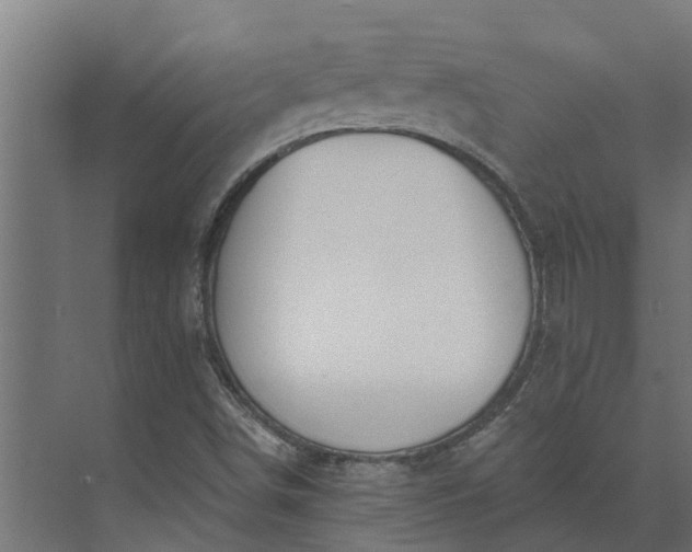 X0000073871498200608241121