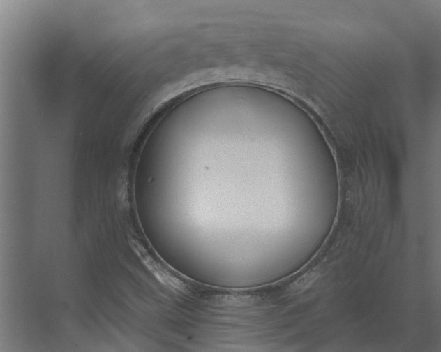 X0000073871499200608241121