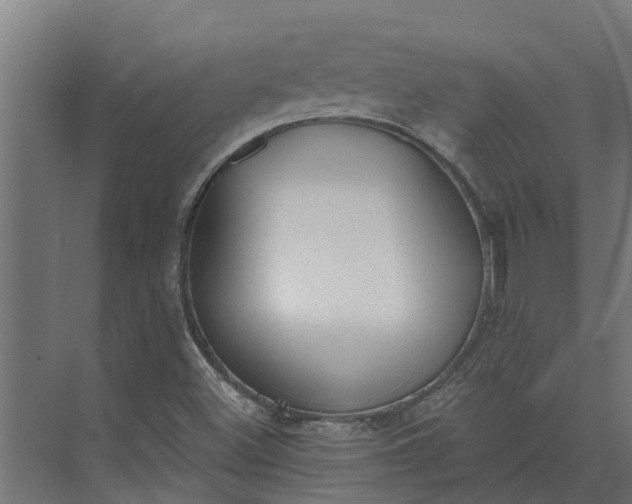 X0000073871500200608241121