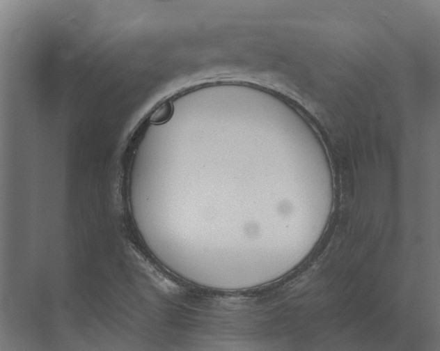 X0000073871502200608241121