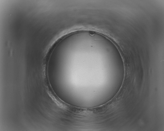 X0000073871503200608241121