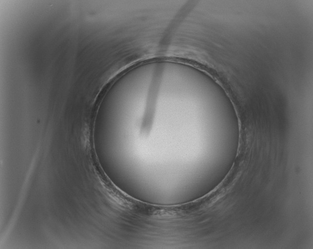 X0000073871505200608241121