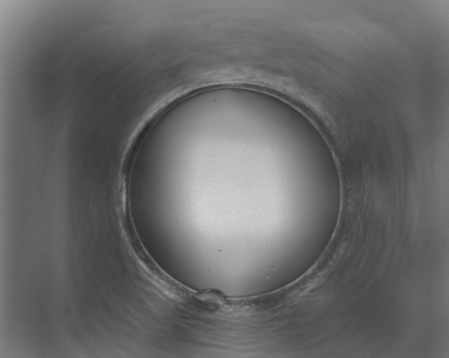 X0000073871509200608241121