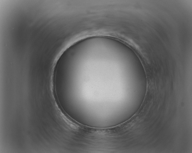 X0000073871512200608241121