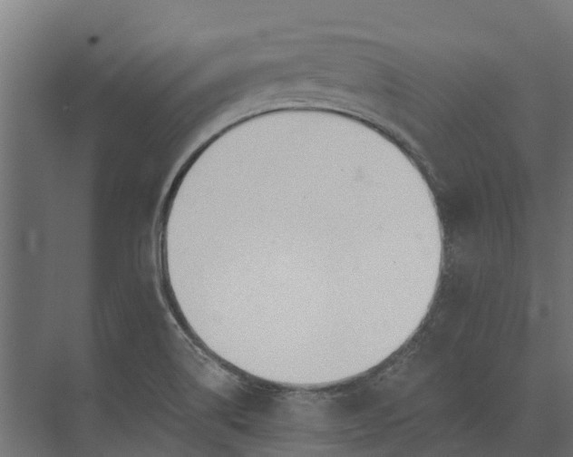 X0000073871514200608241121