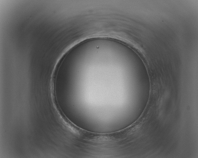 X0000073871517200608241121