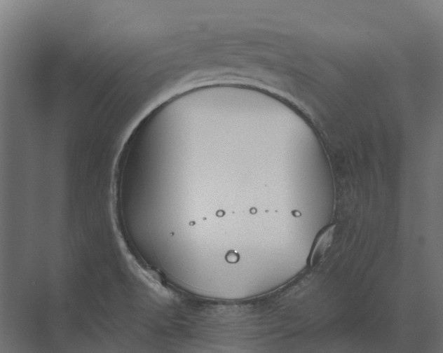 X0000073871518200608241121