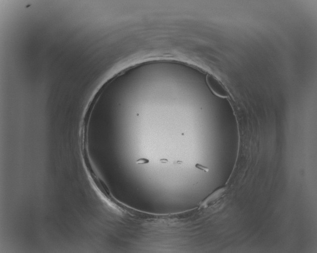 X0000073871519200608241121