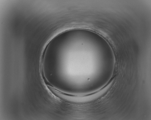 X0000073871520200608241121