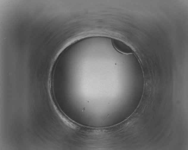 X0000073871523200608241121