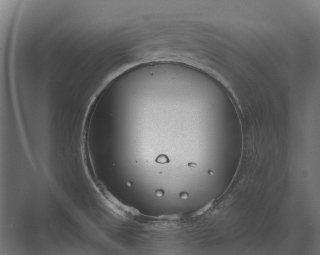 X0000073871525200608241121