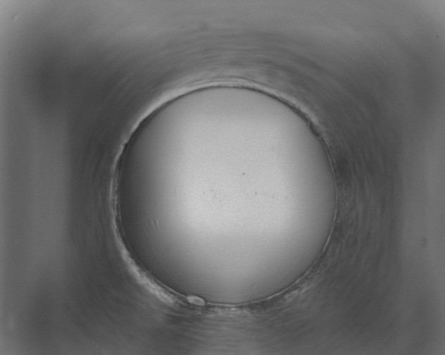 X0000073871526200608241121