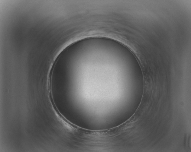 X0000073871527200608241121