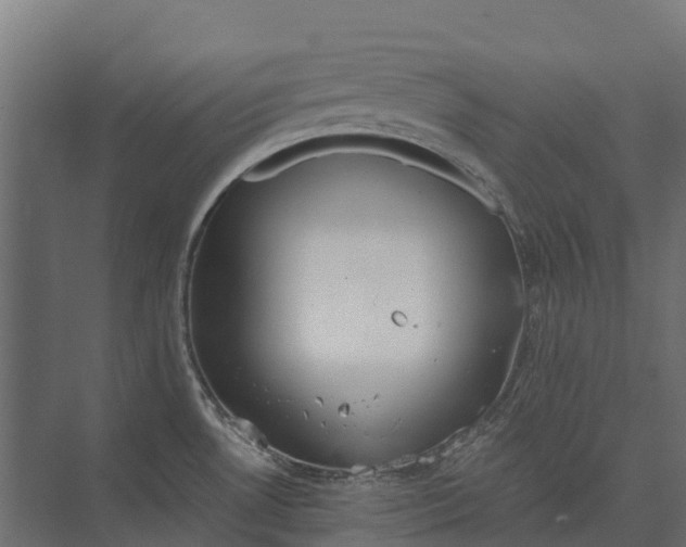 X0000073871530200608241121