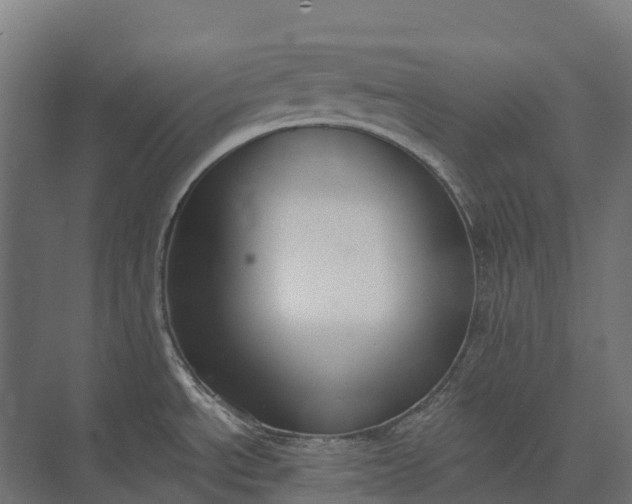 X0000073871534200608241121