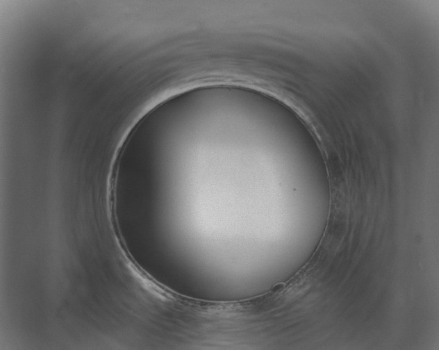 X0000073871535200608241121