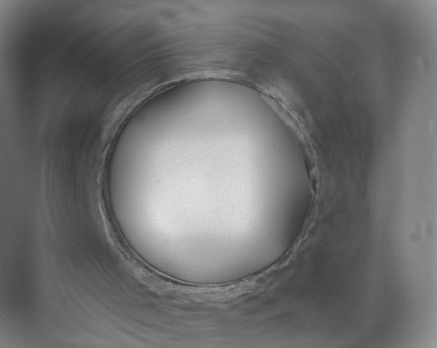 X0000073870001200608312104